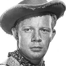 Watch I Was a Male War Bride (1949) Full Movie Online