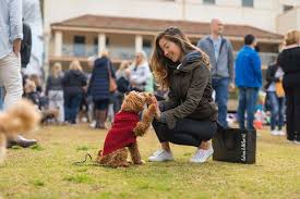 Mosman Pet S Day Out 2019 October 27 Pet Day Dog Competitions Pets