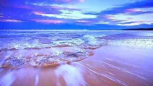 They are also a great way to incorporate your. Earth Sunset Beach Blue Horizon Ocean Pink Sand Sky Hd Wallpaper Wallpaperbetter