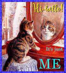 Free Online Greeting Cards Ecards Animated Cards Postcards Funny Cards From 123greetings Com I Love Cats Cute Cats Cats