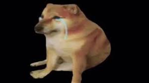 Check spelling or type a new query. I Just Want To Be Happy Doge Meme Youtube