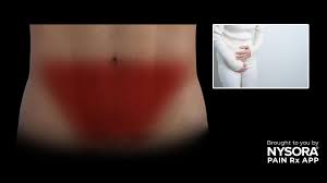 Image result for Cancer Pain