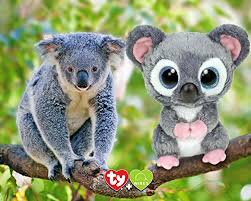 We did not find results for: Katy The Koala Bear Exclusive Australian Beanie Boo By Ty Walmart Com Walmart Com