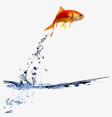 The reason that this is effective is that air is less dense than water which allows the bass to put more force behind head shakes. Freetoedit Fish Jump Water Fish Out The Water Transparent Png 1024x1021 Free Download On Nicepng