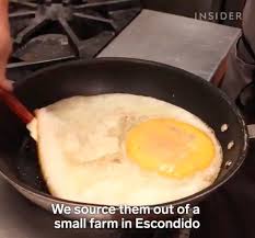 Coba baca artikel ini dulu. Jumbo Telur Goreng Dari Burung Unta Ini Besarnya 16 Kali Telur Ayam