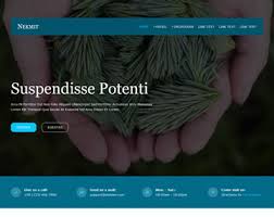 It helps you iron out details like your. Os Templates Download 603 Website Templates Premium And Free Website Templates Responsive Html5 Psd Templates And Much More