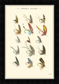 And other flies from around the world. Trout Flies I Foundation Healthcare Decor