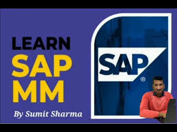 Create & Maintain Hsn - Sac Code In Sap Mm | Pdf | Economies