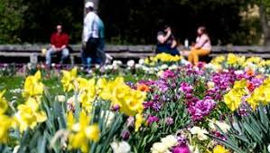 Weiße tierchen in der blumenerde so werden sie sie los. Wetter Themenseite