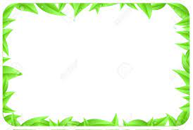 Real intricate leaves create fun overlay piles and leafy borders to add to your scrapbook pages, cards etc. Green Border Design Verat