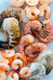 Types And Sizes Of Shrimp Jessica Gavin