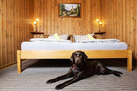 Waschleithe im erzgebirge liegt im naturschutzgebiet des oswaldbachtals im erzgebirge zwischen grünhain und schwarzenberg. Haus Furstenberg Furstenberg Aktualisierte Preise Fur 2021