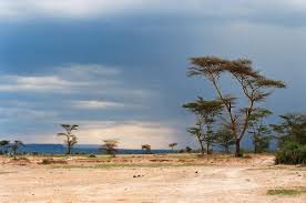 Registration Of Community Land In Kenya Mapping No Big Deal