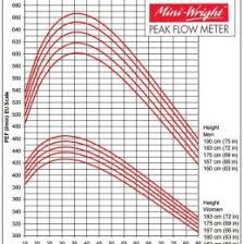 Peak Flow Meter Reading Chart Www Bedowntowndaytona Com