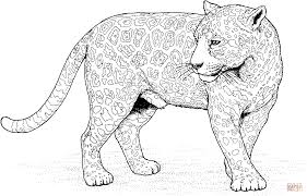 Jaguar 12 Coloring Page Free Printable Coloring Pages Cat Coloring Page Zoo Animal Coloring Pages Animal Coloring Pages