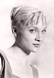 Don Weis: Movies, TV, and Bio