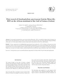 Image result for Kylicanthe rohrii