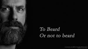 De Baarden van Waddinxveen