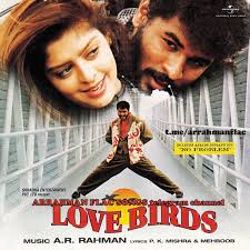 Love Birds Hindi 1996 Arrahman Lossless Flac Songs Mp3 Song Music