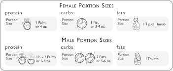 Food Portions Zupp Fitness