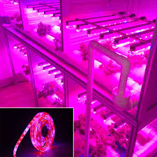 Full Spectrum Led Grow Lights 5 Meters Led Grow Strip Lights Smd 5050 300 Leds Fitolampy Bulb Dc 12v For Plants Seeds Growing Led Fitolampy Led Growfull Spectrum Led Grow Aliexpress