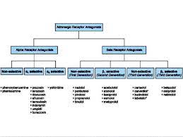 Adrenergic Antagonists Alpha And Beta Blockers 3 638 Jpg 638 479 Pharmacology Beta Blockers Alpha Blocker