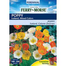 Pin On Gardening