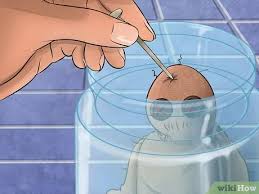 Baiknya, apapun kesalahan kita, meminta maaflah pada orang yang tersakiti. Cara Menjatuhkan Kutukan Kepada Seseorang Dengan Gambar