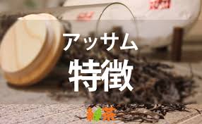 紅茶の人気茶葉 アッサム の魅力と特徴 ピントル