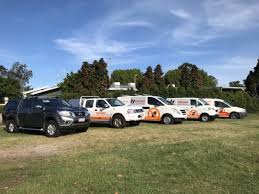 Avoid cheap gold coast pest control companies. Pest Control On The Gold Coast Termite Inspections Treatment