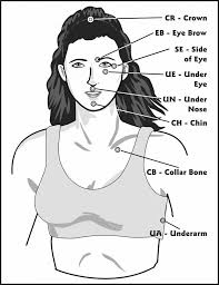 eft shortcut tapping points chart have you tried eft yet