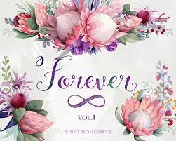 Flower Bouquets Clipart Forever King Protea Gumtree Etsy Flower Clipart Flower Border Protea Flower