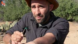 Crazy Coyote Peterson Lets A Tarantula Hawk Wasp Sting Him Daily Mail Online