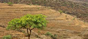 Introducing Uncertainty while Teaching Literature in the Middle East