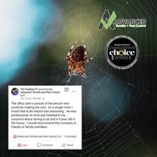 Pest control — termite soil and no tent alternative. 27 Termites Ideas Termites Pest Control Termite Prevention
