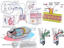 Check the user's manual that came with your carbon monoxide detector to interpret chirping noises. Materials Progress In The Control Of Co And Co2 Emission At Ambient Conditions An Overview Sciencedirect