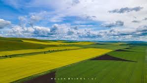 呼伦贝尔验客｜赴一场盛夏的草原之约