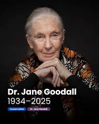 Another look at the footage from New York Moves' latest Power Women  photoshoots for the Magazine's Fall 2024 issue celebrating our nominated  2024 Power Women. For the past 21 years, New York