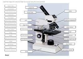 The many compound microscope parts may seem overwhelming at first, but they all have a distinct purpose. Label The Image Of A Compound Light Microscope Using Chegg Com