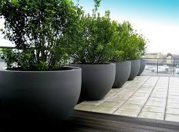 Giant Flowerpot Particular Choice Of Greater Than 50 Fashions Choice Fashions Flowerpot In 2020 Roof Garden Design Large Outdoor Planters Outdoor Planters