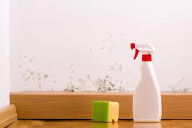 If you are looking online for restoration companies near me,call restoration doctor in davie for. How Can I Test For Mold In My Apartment Apartment School