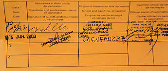 O certificado internacional de vacinação é o documento que comprova a vacinação contra doenças. 8 Coisas Que Voce Nao Deve Esperar A Proxima Viagem Para Providenciar