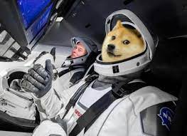 The debate is still open to whether an economic crisis is beneficial for btc. Latoken A Doge Breakthrough Expected After Saturday Live With Elon Dogefather Musk Latoken Blog
