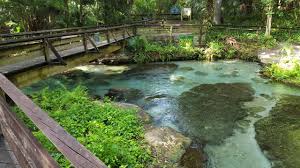 Primitive campsites on rock springs run and the wekiva river are accessible by canoe only. Honest Review Of Rock Springs At Kelly Park Youtube