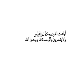 quotesmema arabic quotes fact quotes words quotes