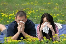 Primavera Los Riesgos Del Subdiagnostico De La Alergia Nasal Met Afbeeldingen Hooikoorts Voeding Natuurlijke Remedies