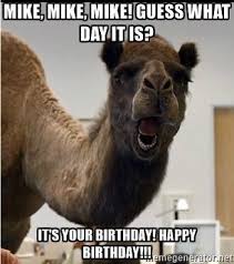 It was while we were staying with her family in scotland. Hump Day Camel1 Mike Mike Mike Guess What Day It Is It S Your Birthday Happy Birthday Happy Birthday Funny Humorous Funny Memes Funny P