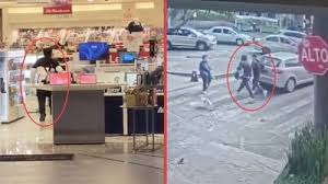 Asaltantes rompen vitrinas y roban celulares en Sanborns de Plaza Metrópoli Patriotismo