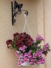 If you are a fan of gothic style and are sure that such a in them it is possible to plant houseplants, and it is possible to use unusual capacities for creation of a interesting options for balconies and terraces: How To Hang Plants From An Apartment Balcony Dengarden