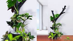 Indoor Plants Grow And Decorate Only In Water Water Garden For Indoor Balcony Home Green Plants Y Growing Plants Indoors Indoor Water Garden Indoor Plants